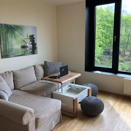 Triplex Residence, Lux-Appartment In The Central Part Karlovy Vary Eksteriør bilde